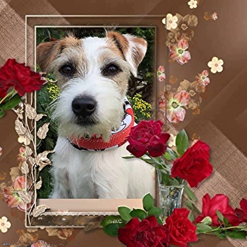 Der Fr&uuml;hling naht 